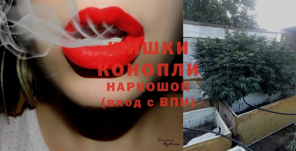 дурь Сосновка